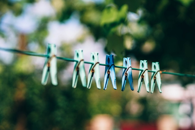 pegs, clothe pegs, drying