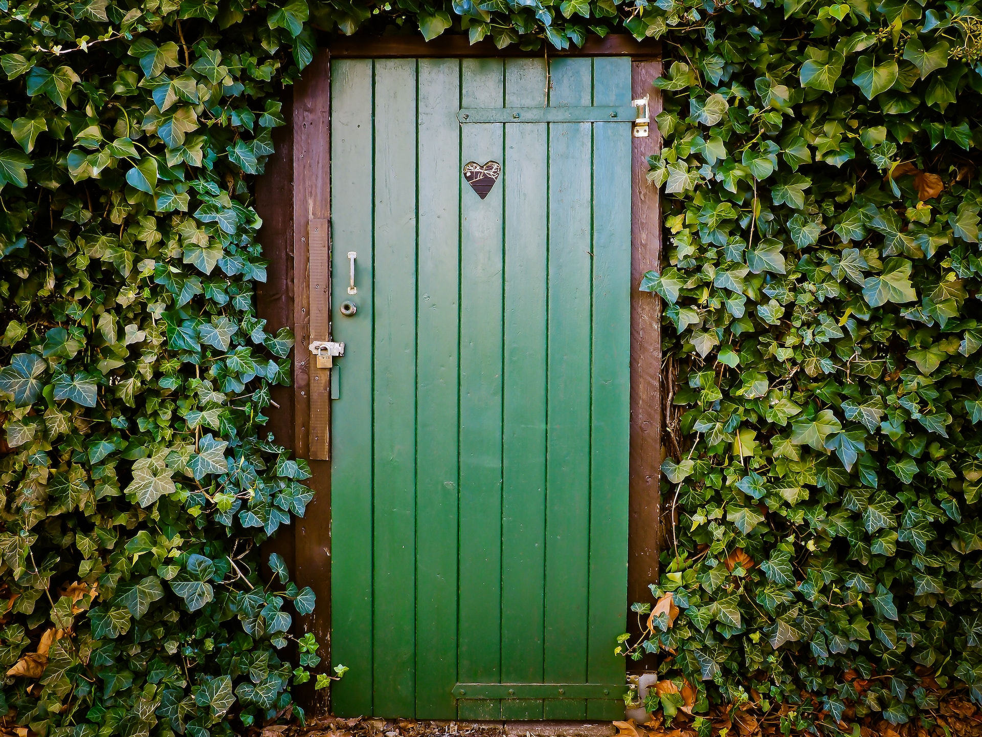 A living wall with greenery for a natural look