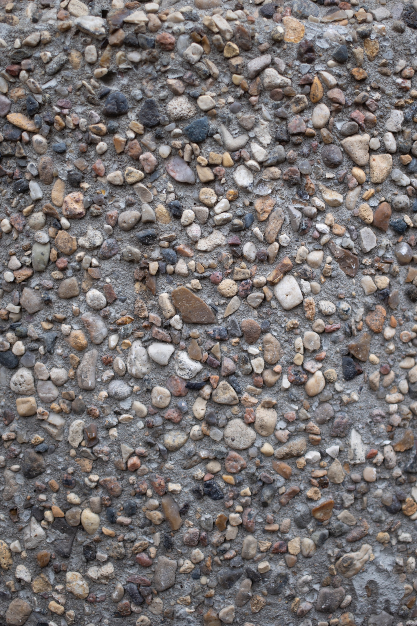 An image showing a pebbledash textured garden wall, a great alternative to rendering a garden wall